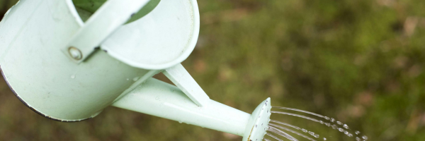 Watering Time